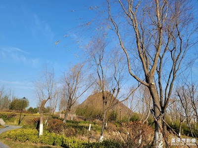 周日美景