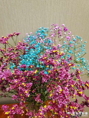 【難忘2021】＋生活點(diǎn)滴