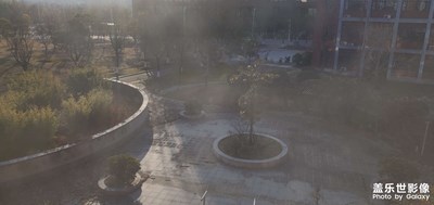 66