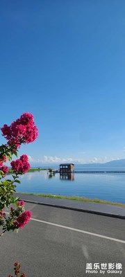 段譽(yù)的王國(guó)