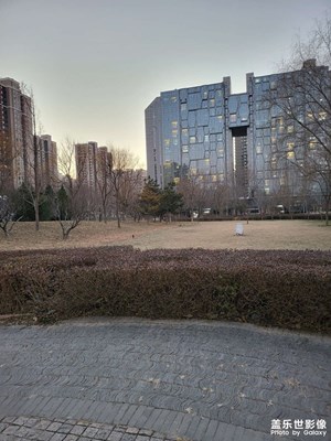 隨手