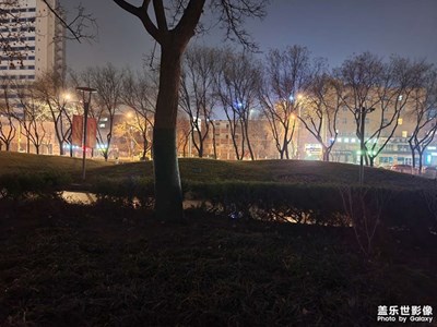夜拍