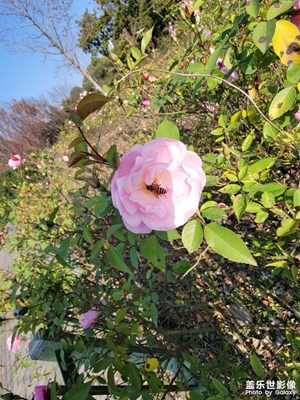 現(xiàn)在到底是什么季節(jié)