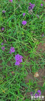 【難忘2021】

春夏春冬2021