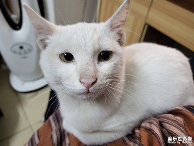 【你好2022】感恩2021