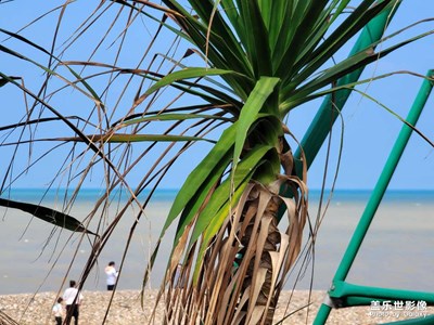 2021年12月31日夜里