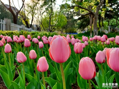 【你好2022】+校園回顧