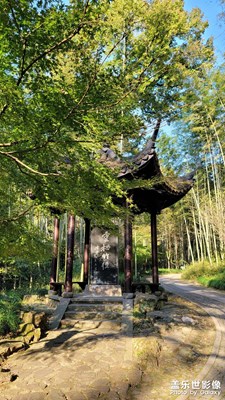 2021，一路風(fēng)景