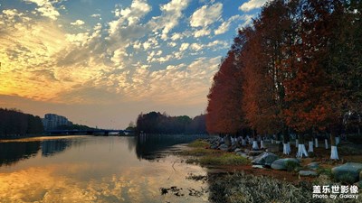 紅彬林