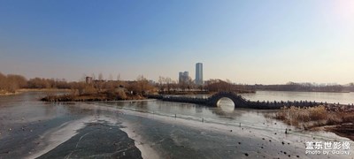 【你好2022】+公園隨拍