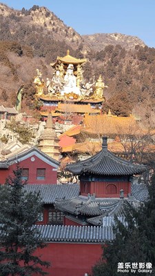 練習