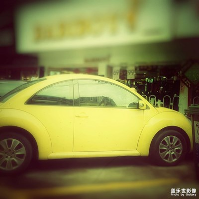 街邊的甲殼蟲(chóng)