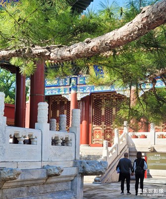 【色彩】+紅黃綠