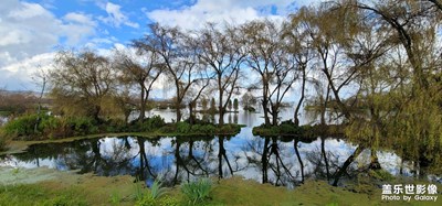 濕地公園，隨手拍，請(qǐng)多多指教。