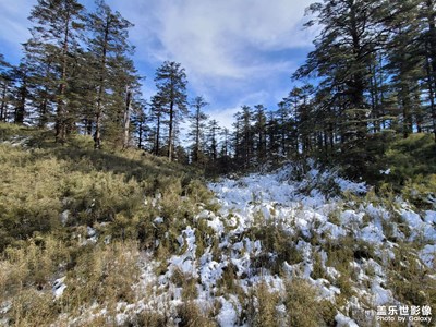 瓦屋山三星note 20 Ultar 