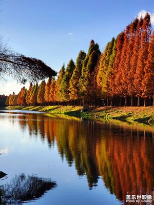 暖洋洋的冬季。