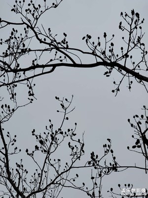 三星note 20ultra 風(fēng)景照