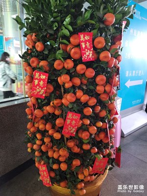 啥都不說，祝大家大吉大利。