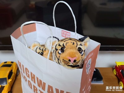 準(zhǔn)備好了嗎？我來了…