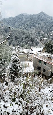 雪景。。