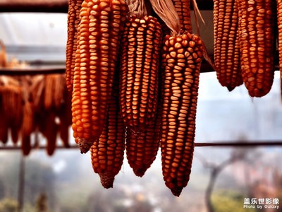 【家鄉(xiāng)年味】普年