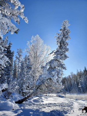 note10+ 相機(jī)寶刀未老啊