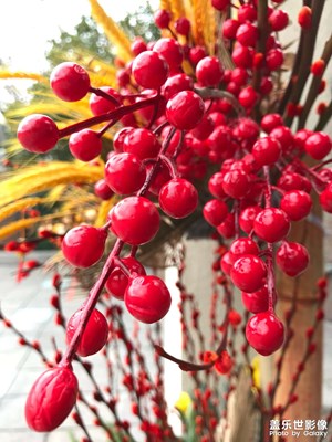 【家鄉(xiāng)年味】紅紅火火