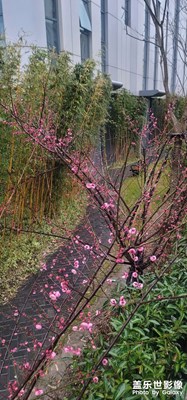 【足記】回老家