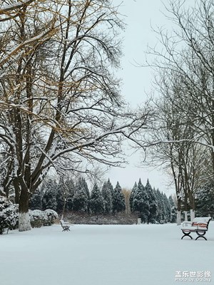 虎年第一場雪
