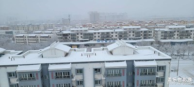瑞雪虎年