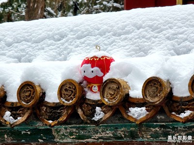 【身邊的美好】雪中小可愛