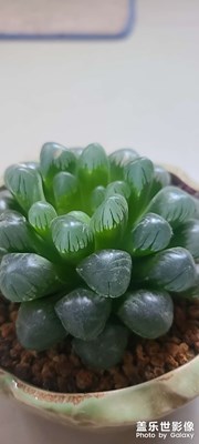 好看嘛！