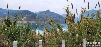 濕地公園