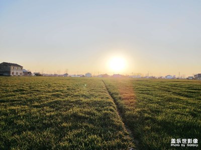 S22ULTRA 主設(shè)攝照片如何