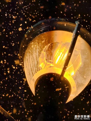 S22u居然2022年3月1日拍立春后雪景