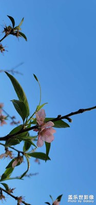 時(shí)間