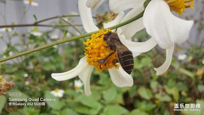 隨手拍