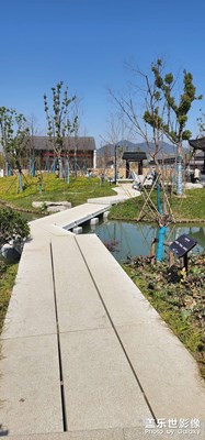 到手第一次去外面隨便拍