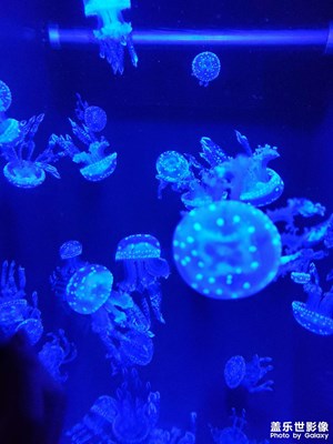 【手機(jī)里的記憶】 浩海立方