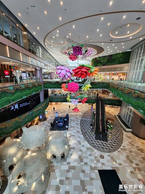 S22u拍的k11藝術(shù)購物中心