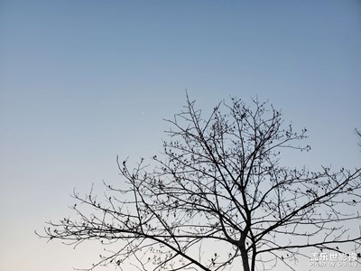 校園隨拍系列