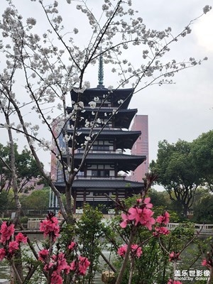江南小眾園林