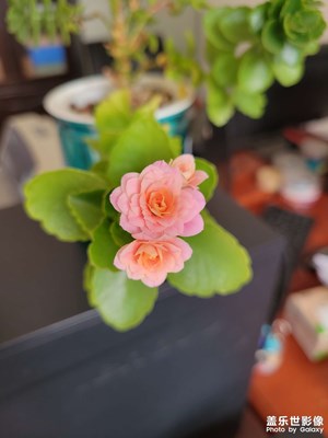 春天來(lái)啦