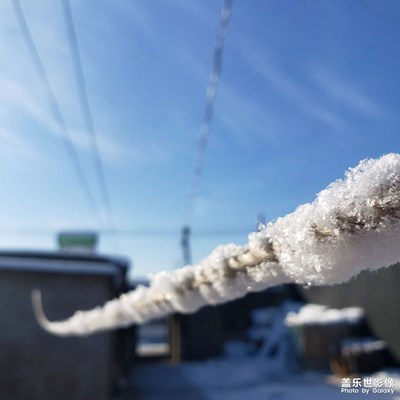 【春光好】＋認真的雪