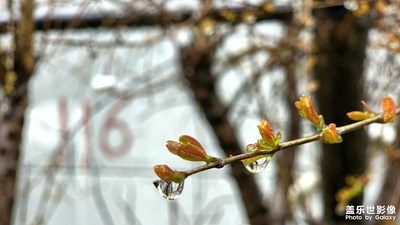 微距來(lái)幾張