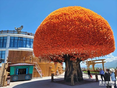 美麗的地方——藏鄉(xiāng)桃花源