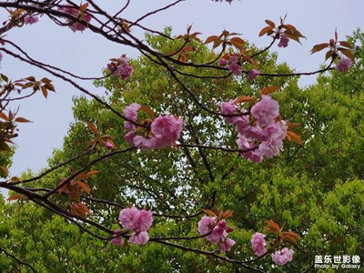 雨天早上