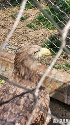 動(dòng)物園測(cè)試S22+拍照實(shí)力