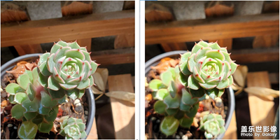 s22和s10拍照對比