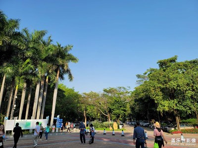 清明節(jié)假期，深圳沙河公園跑道隨拍